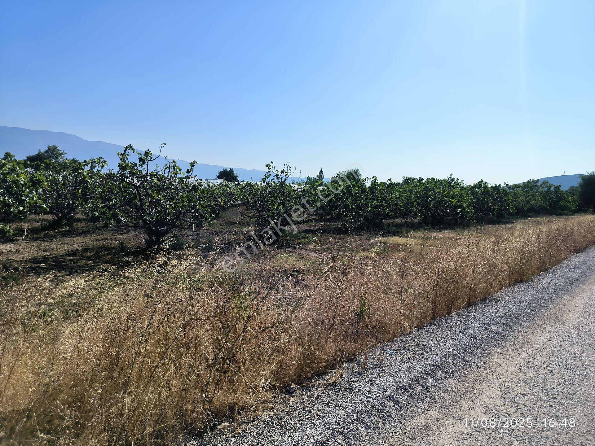 Bursa Gürsu Kazıklıköyü Mahallesi 4145 M2 Trenyolu Karşısı Tarla - Görsel 9