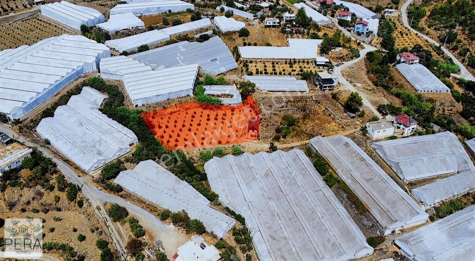 Alanya İmamlı Köyü Satılık Bungalov Ve Meyve Ağaçlı Tarla - Görsel 12