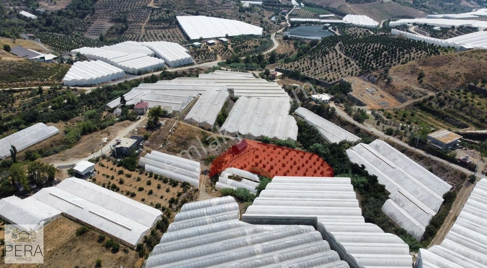 Alanya İmamlı Köyü Satılık Bungalov Ve Meyve Ağaçlı Tarla - Görsel 10