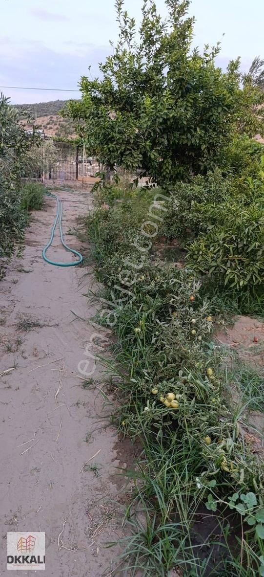 Okkalı Emlak Tan Menemen Süleymanlı Da Satılık Bahçe Ve 2+1 Ev - Görsel 8