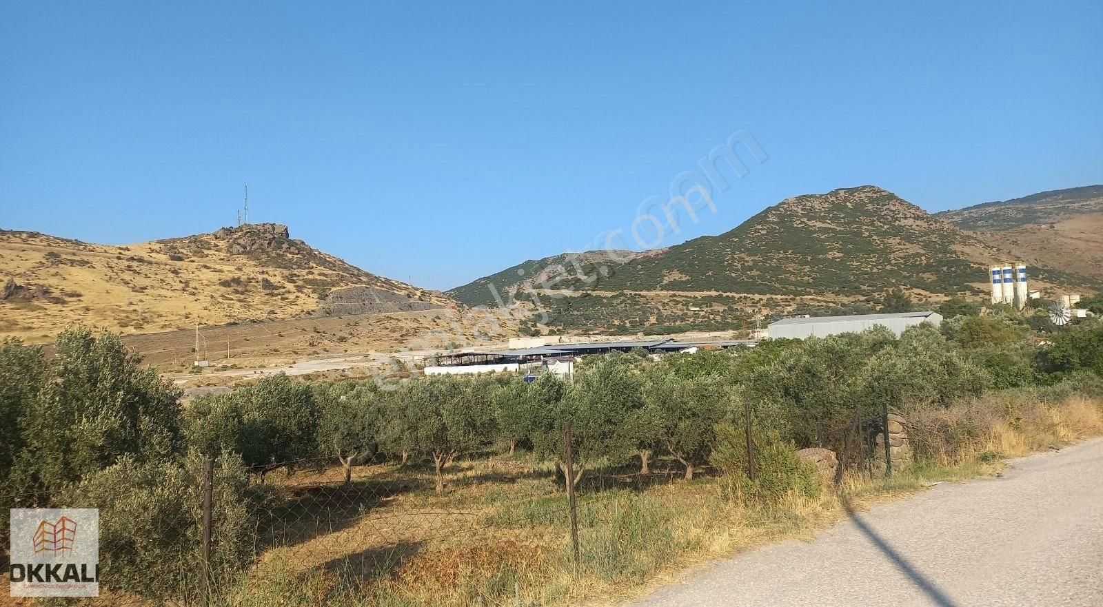 Okkalı Emlak Tan Menemen Göktepe De Satılık Zeytinlik - Görsel 5
