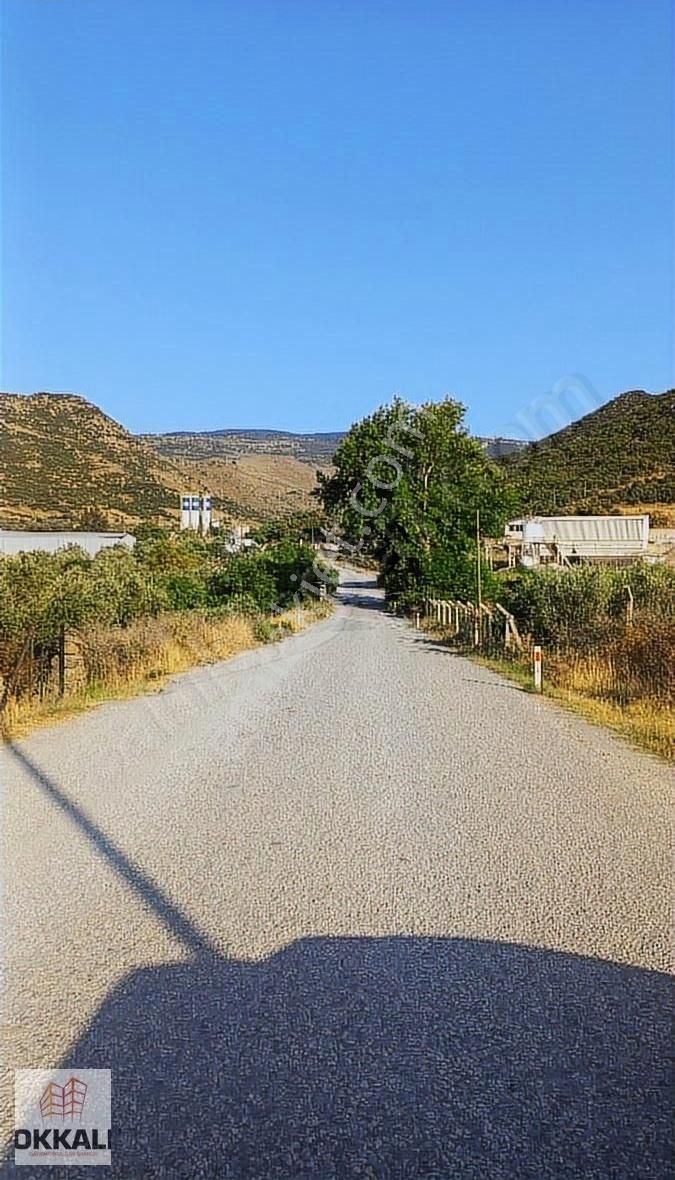 Okkalı Emlak Tan Menemen Göktepe De Satılık Zeytinlik - Görsel 16