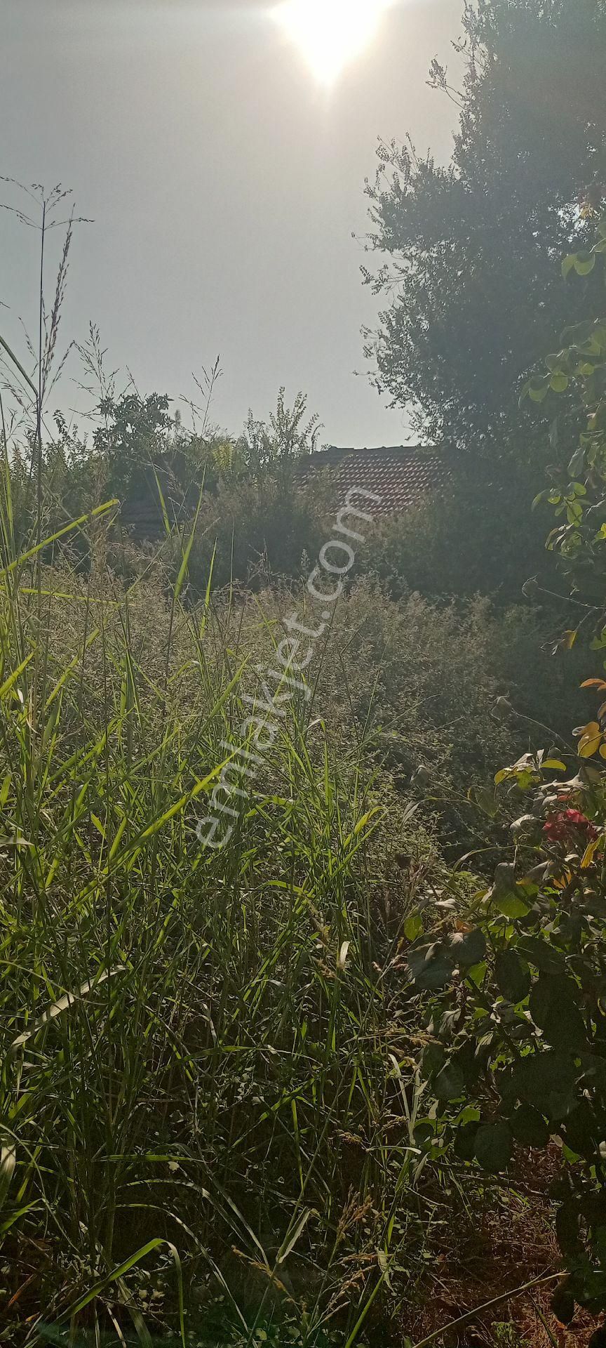Muğla Ortaca Güzelyurt Satılık Arsa - Görsel 4