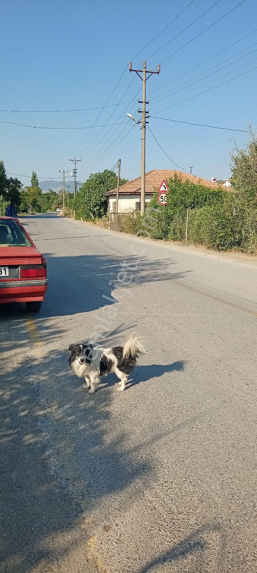 Muğla Ortaca Güzelyurt Satılık Arsa - Görsel 7