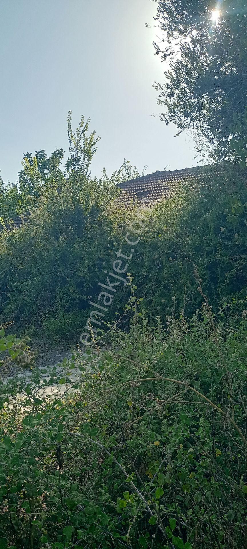 Muğla Ortaca Güzelyurt Satılık Arsa - Görsel 3