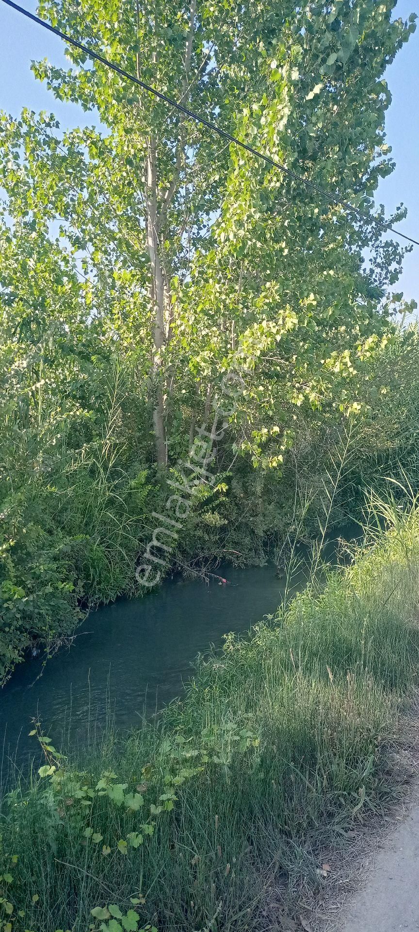 Muğla Ortaca Güzelyurt Satılık Arsa