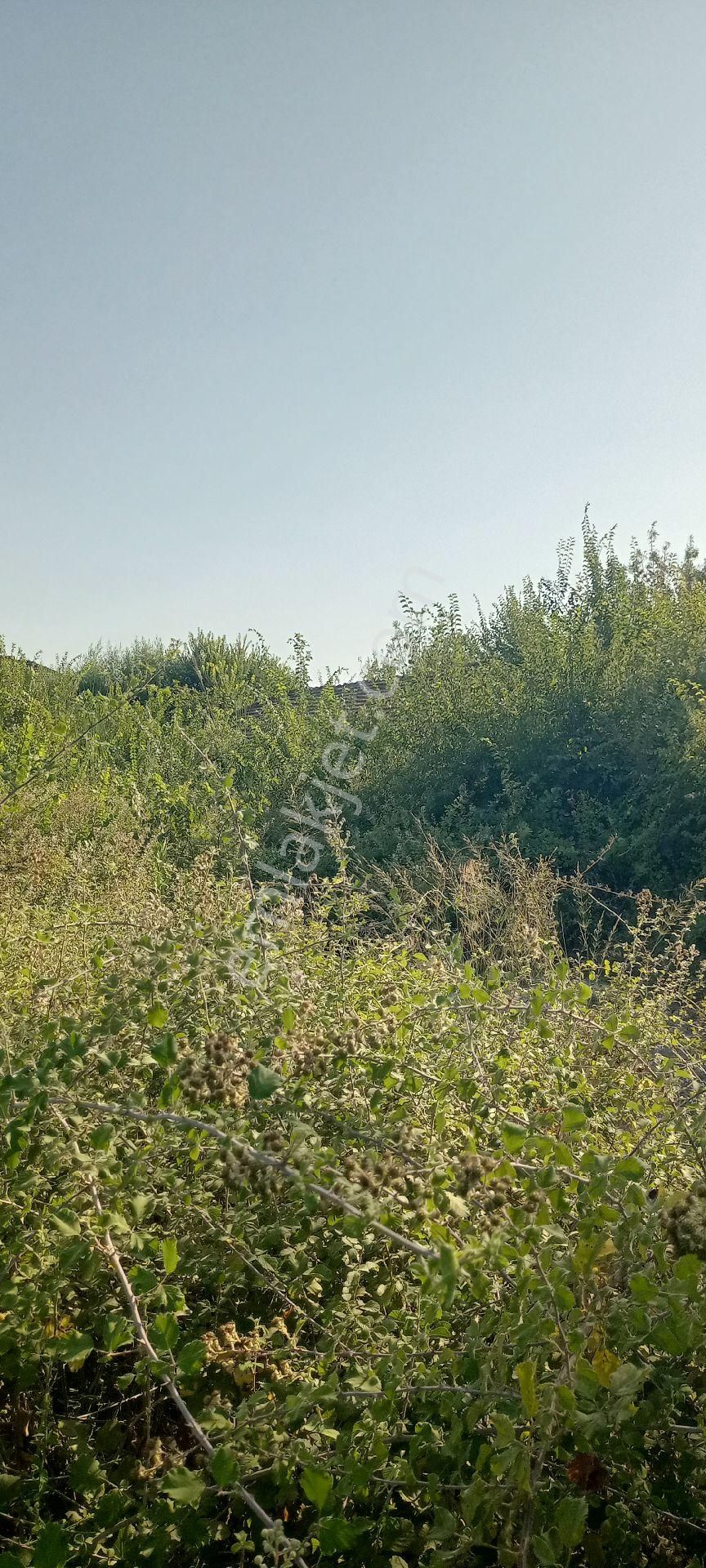 Muğla Ortaca Güzelyurt Satılık Arsa - Görsel 2