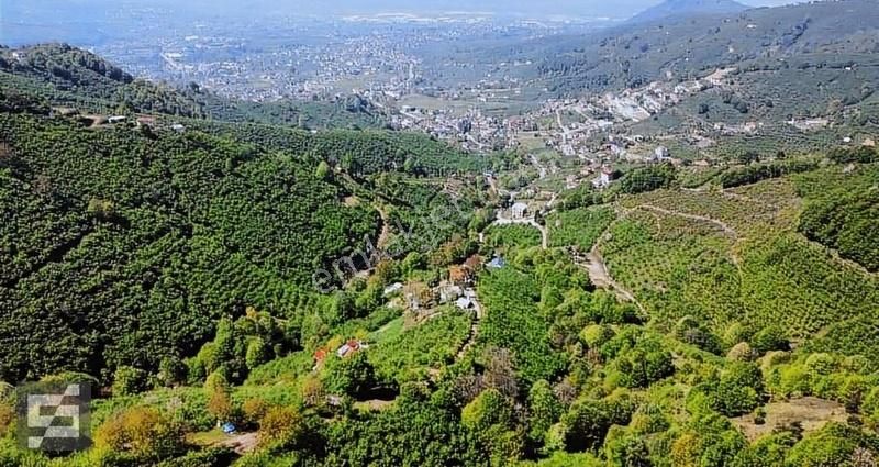 Sancak Emlak'tan Satılık Kuzuluk Manzaralı Fındıklık