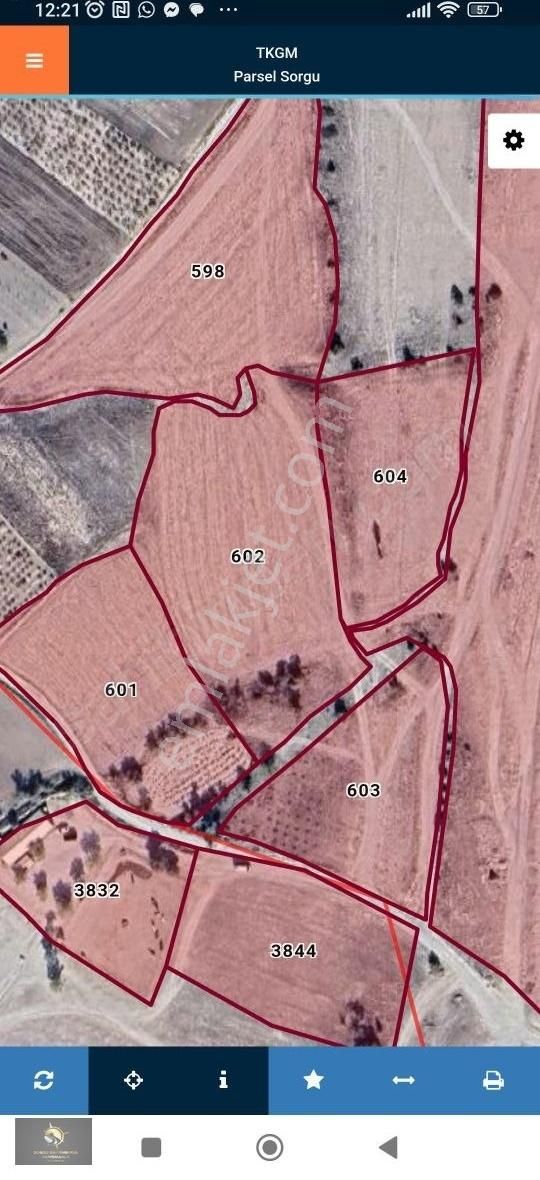 Çavuşin De Satılık 2 Adet Tarla