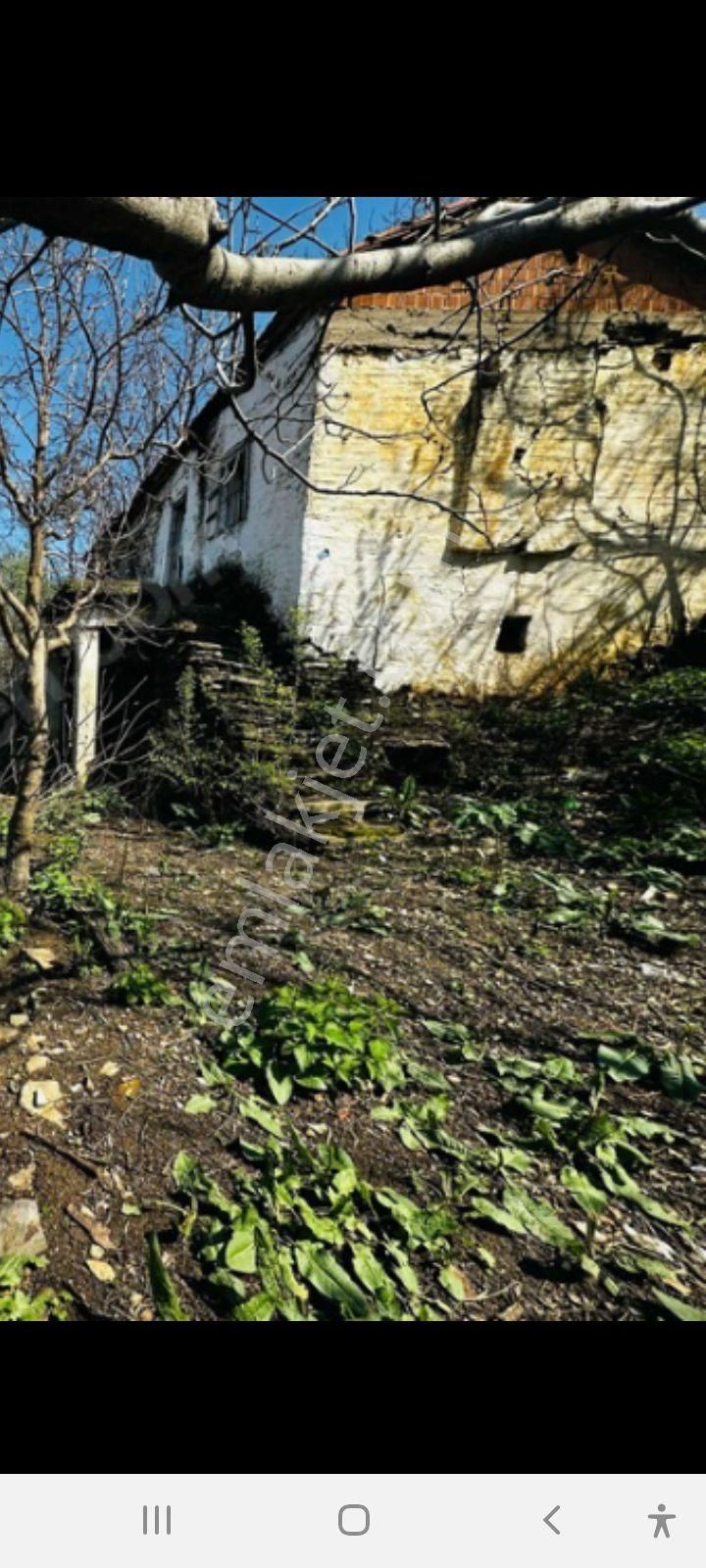 Mor Çiçek Emlak Tire Dallık Kargir Ev Ve Arsa - Görsel 15