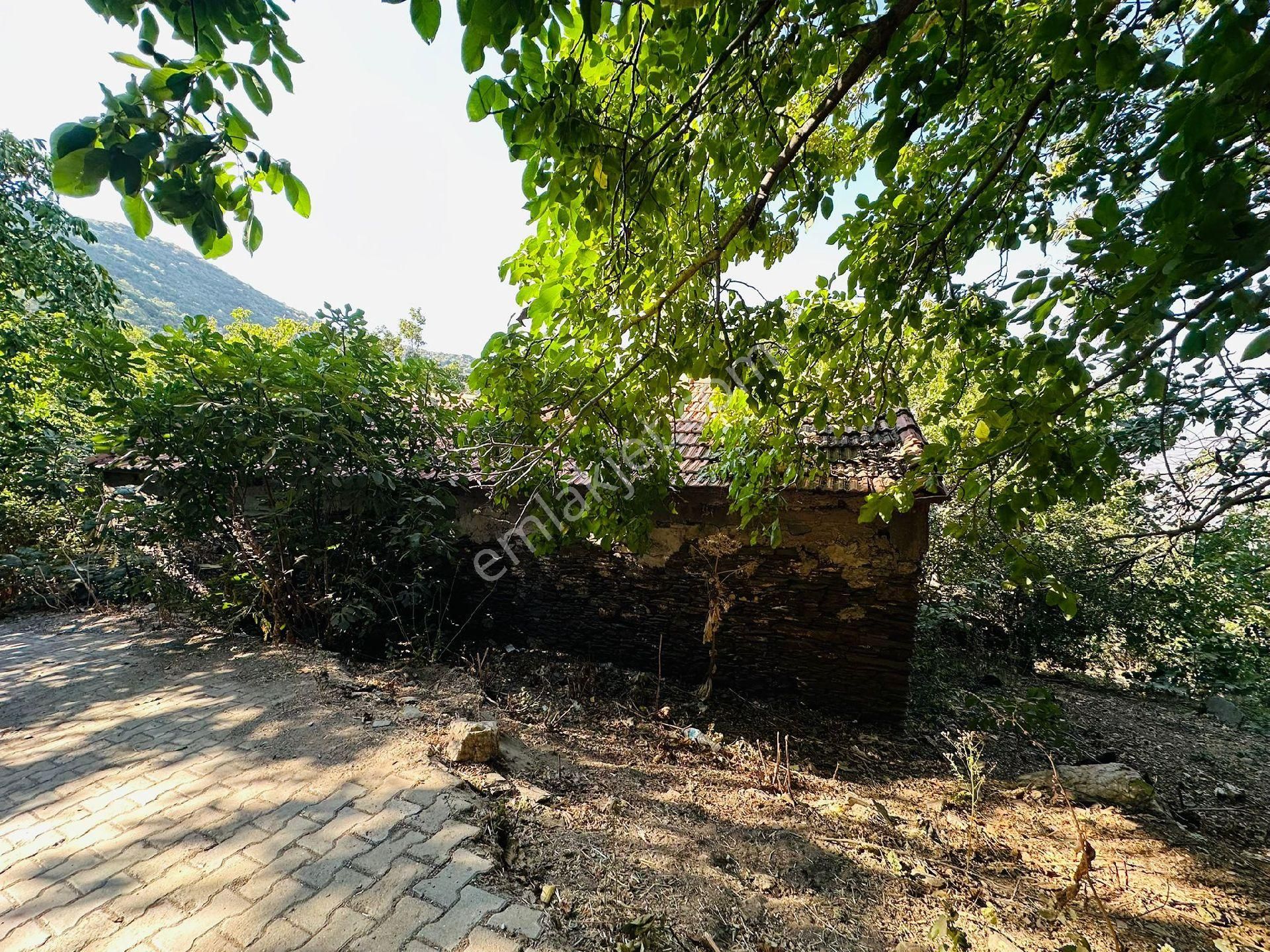 Mor Çiçek Emlak Tire Dallık Kargir Ev Ve Arsa - Görsel 6