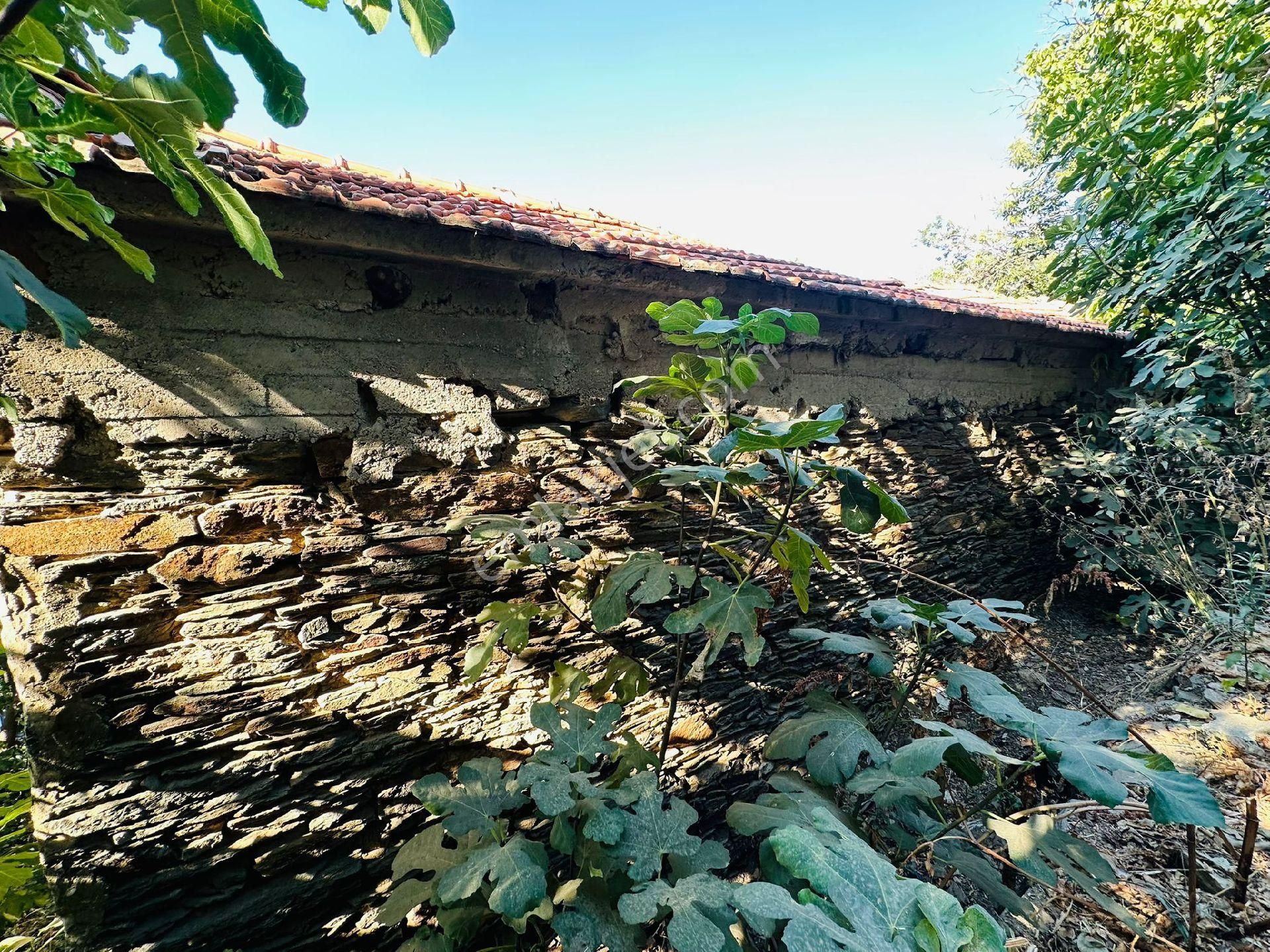 Mor Çiçek Emlak Tire Dallık Kargir Ev Ve Arsa - Görsel 5