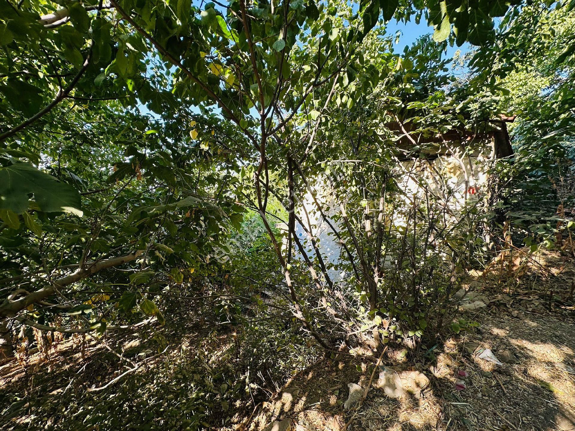 Mor Çiçek Emlak Tire Dallık Kargir Ev Ve Arsa - Görsel 12