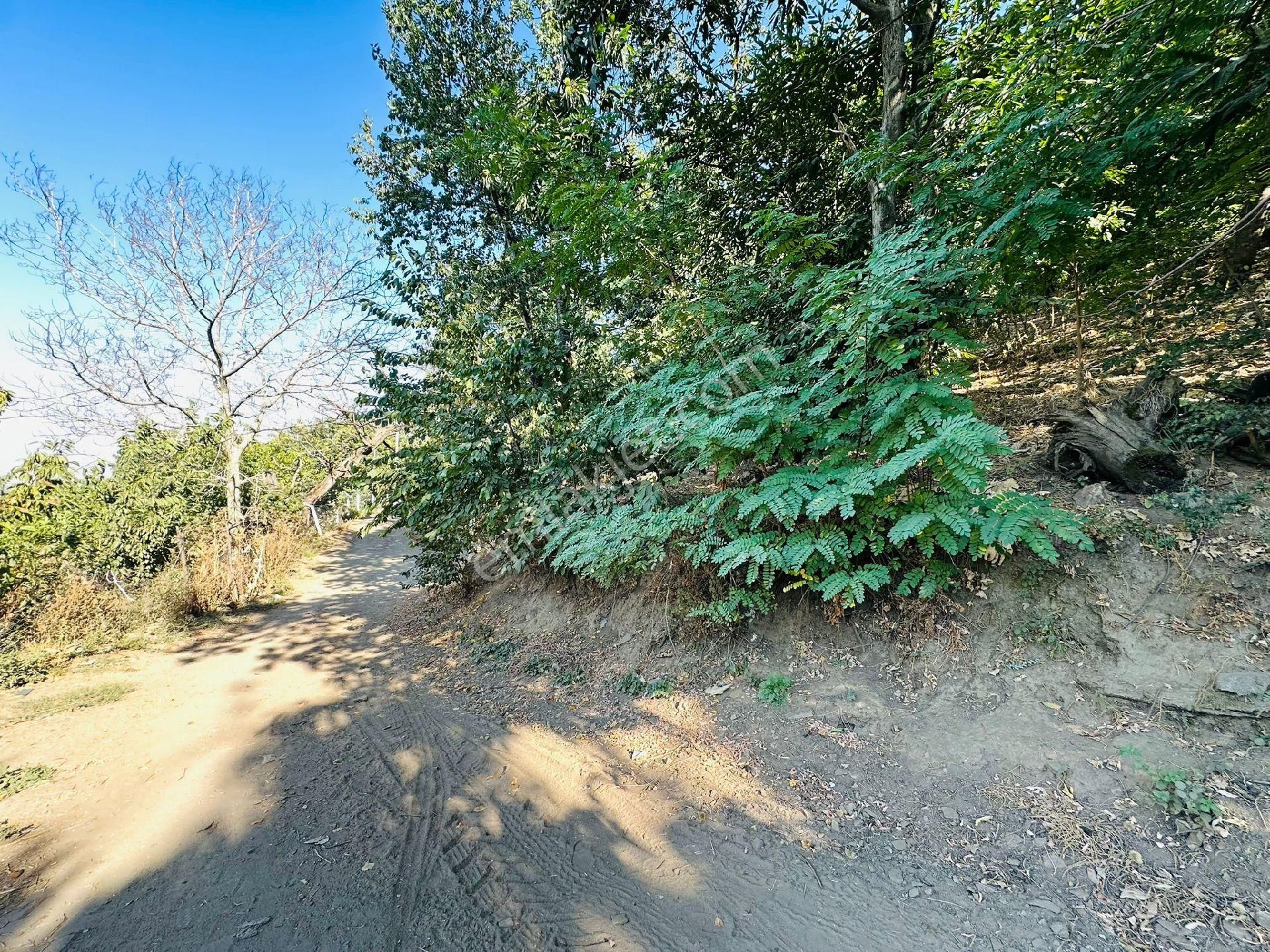 Mor Çiçek Emlak Tire Dallık Kargir Ev Ve Arsa - Görsel 13