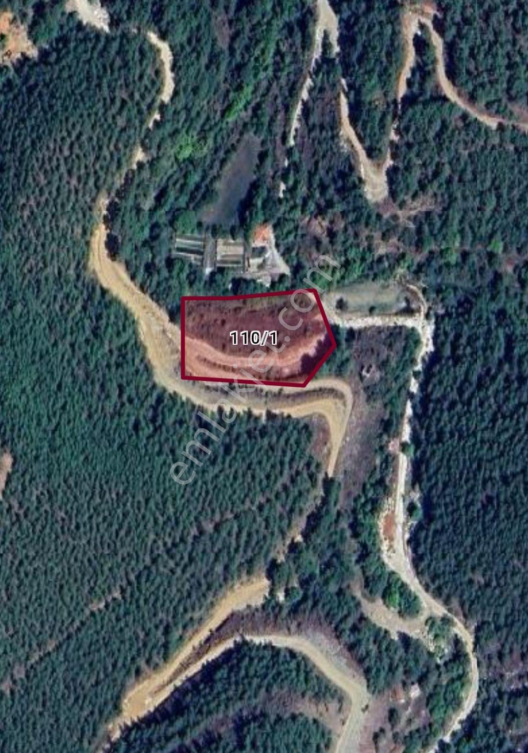 Muğla Kavaklıdere Satılık 6033 M2 Tarla - Görsel 2