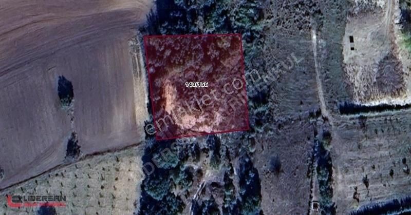 Satılık Lüleburgaz Kırıkköy'de 2.640 M² Tek Tapu