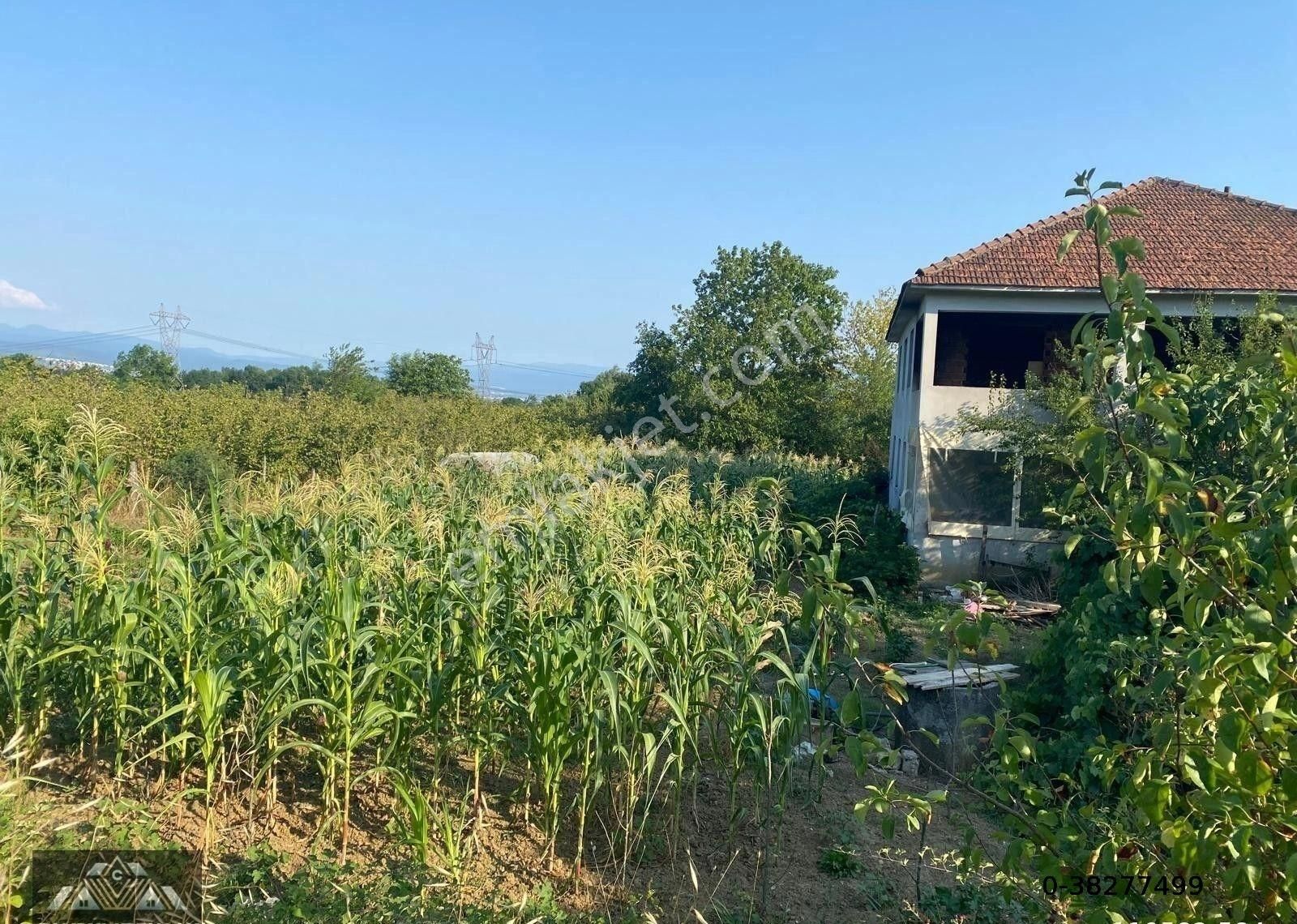 Canbulattan Kaymakçı Köyünde Satılık 3.000 M² Arsa
