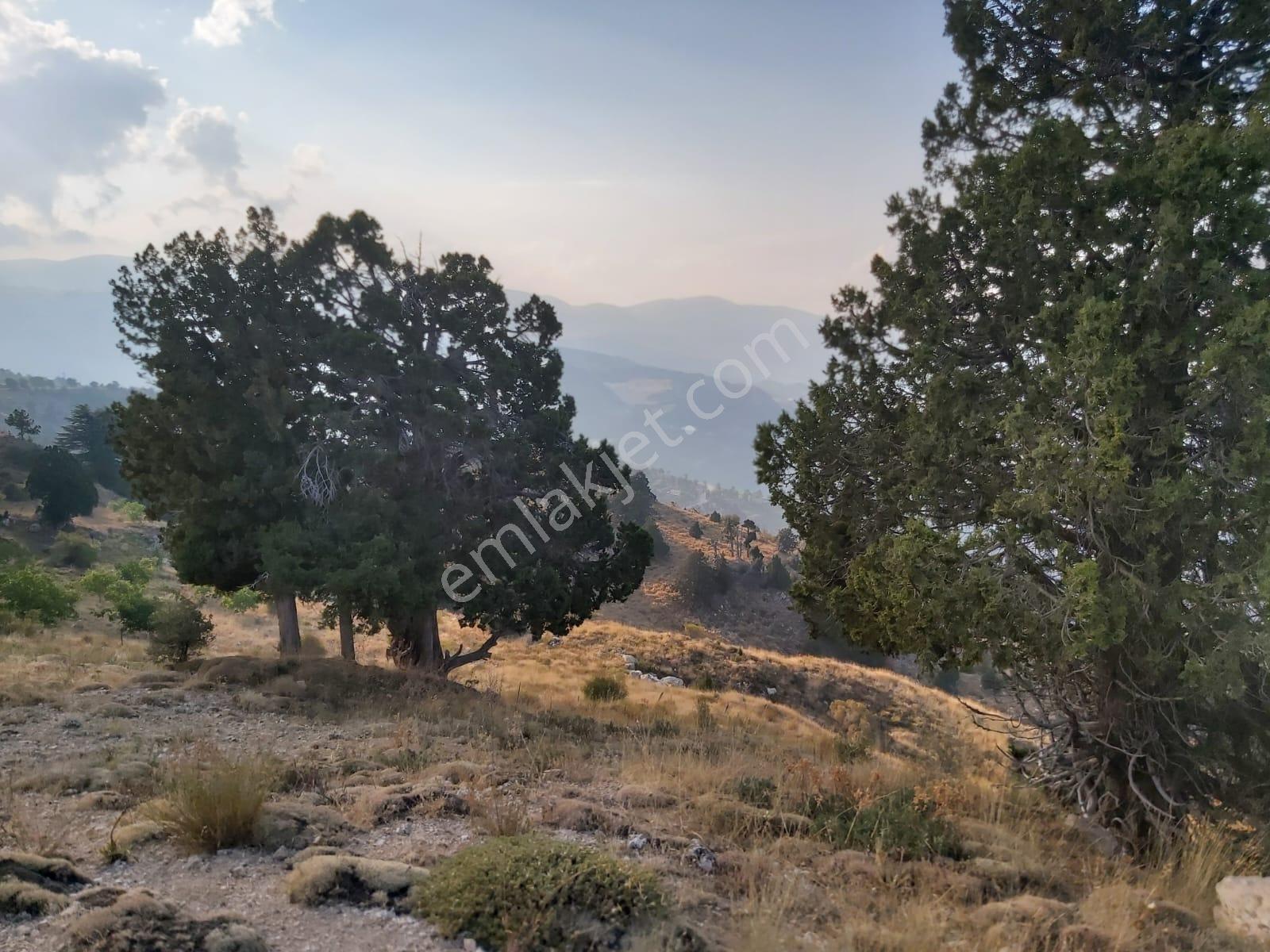 Acill Konyaaltı Geyikbayırında Satılık İmarlı Villa 600m2 Arsası - Görsel 2