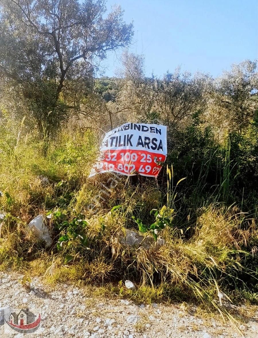 Güneyden İznik Mustafali Köyünde 650m2 Arsa Zeytinlik - Görsel 2