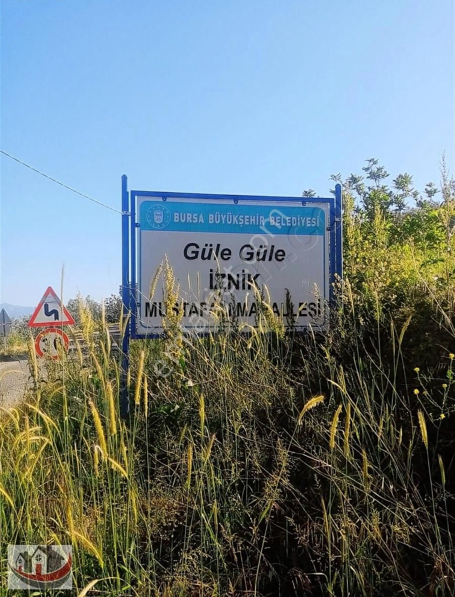Güneyden İznik Mustafali Köyünde 650m2 Arsa Zeytinlik - Görsel 8