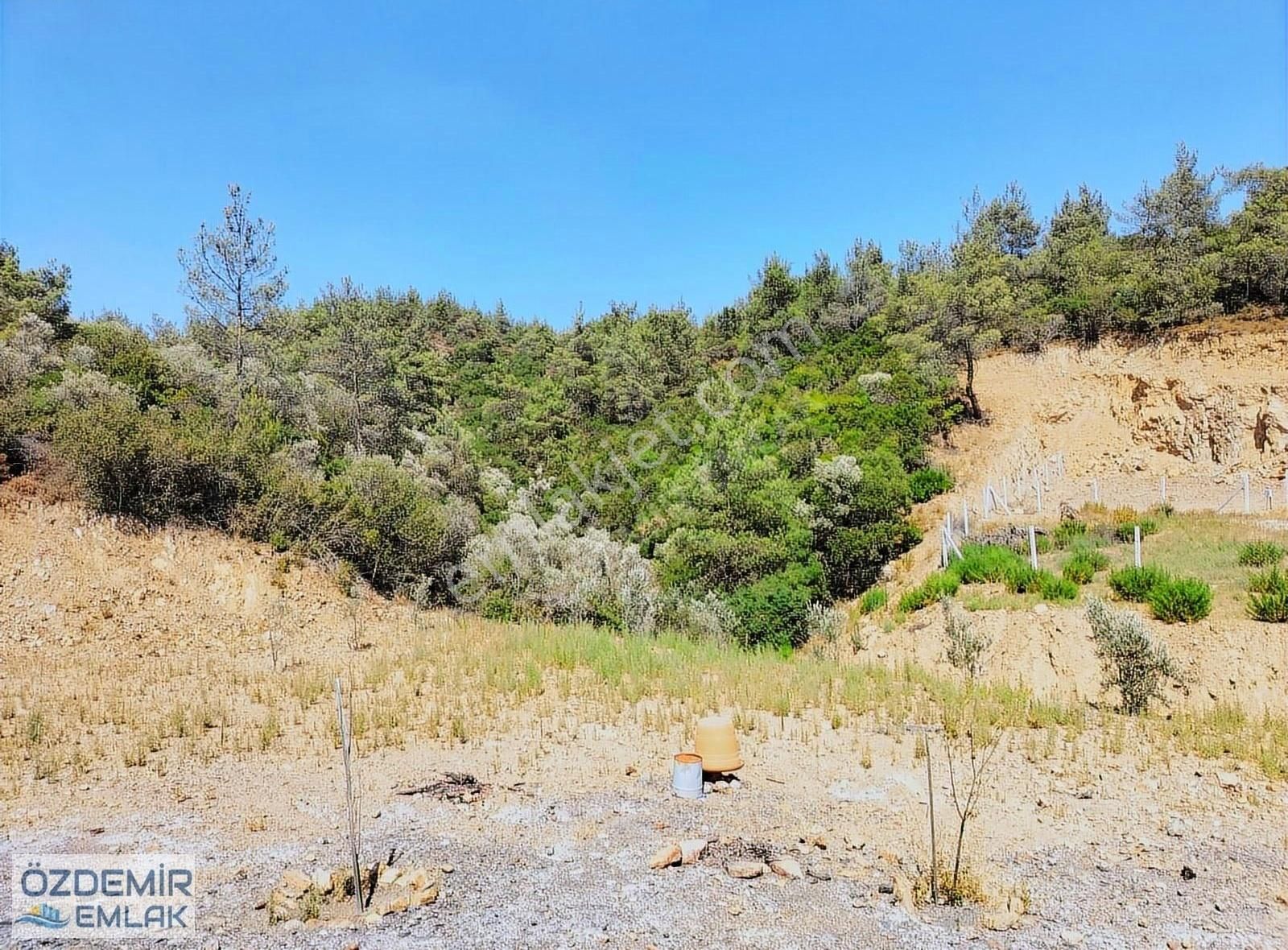 Özdemir Emlaktan Satılık Kök Hisseli 274 M2 Bahçe - Görsel 2