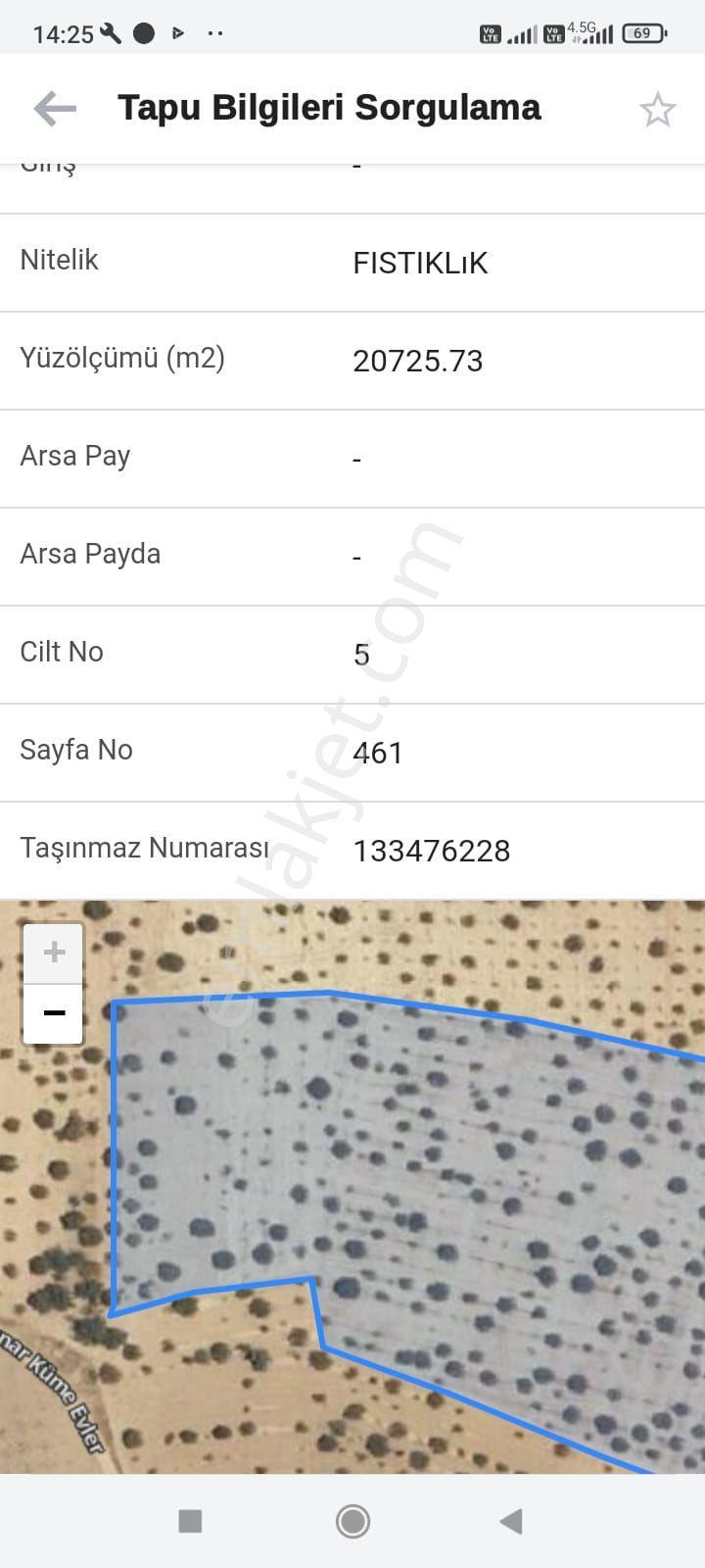 Akpınar'da Satılık 50 Yaşında Fıstıklık - Görsel 3