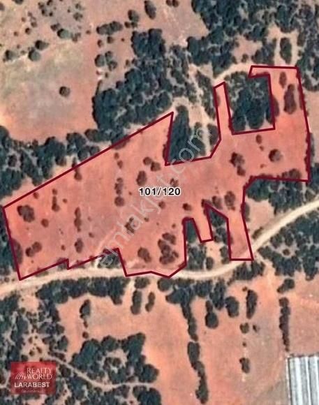 Antalya Elmalı'da 11560m2tarla Satılık - Görsel 2