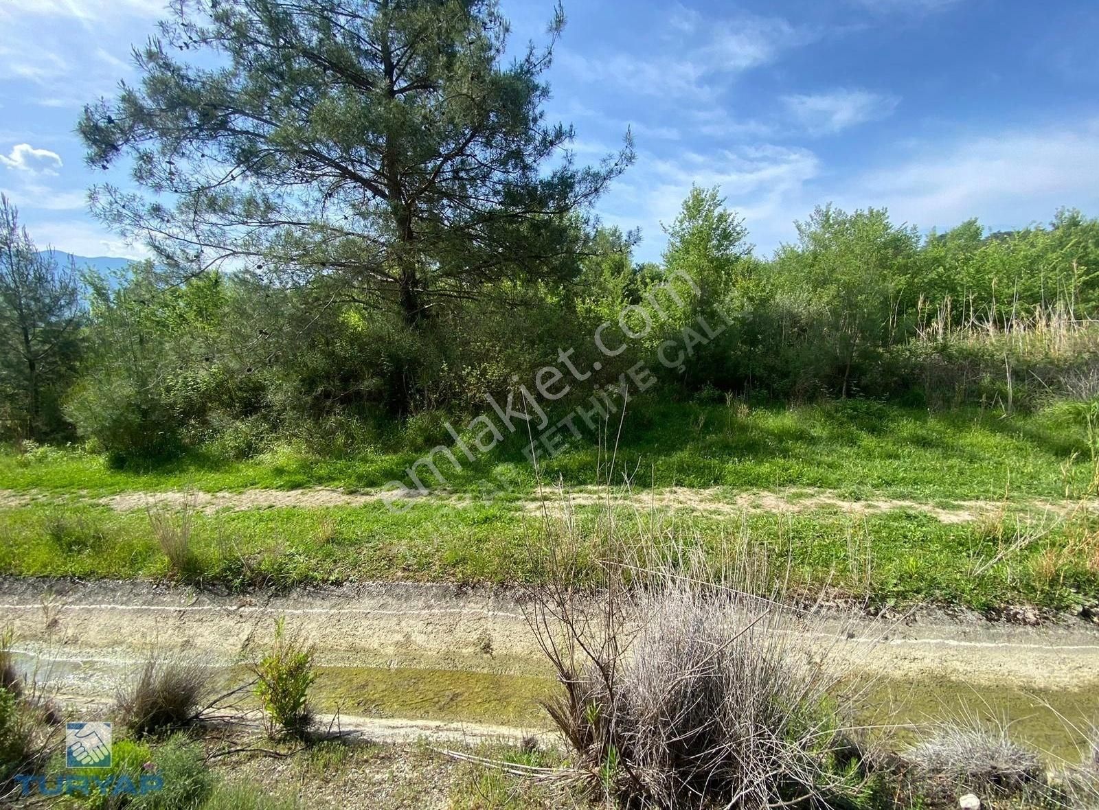 Muğla Seydikemer'de 3614 M² Satılık Müstakil Tarla