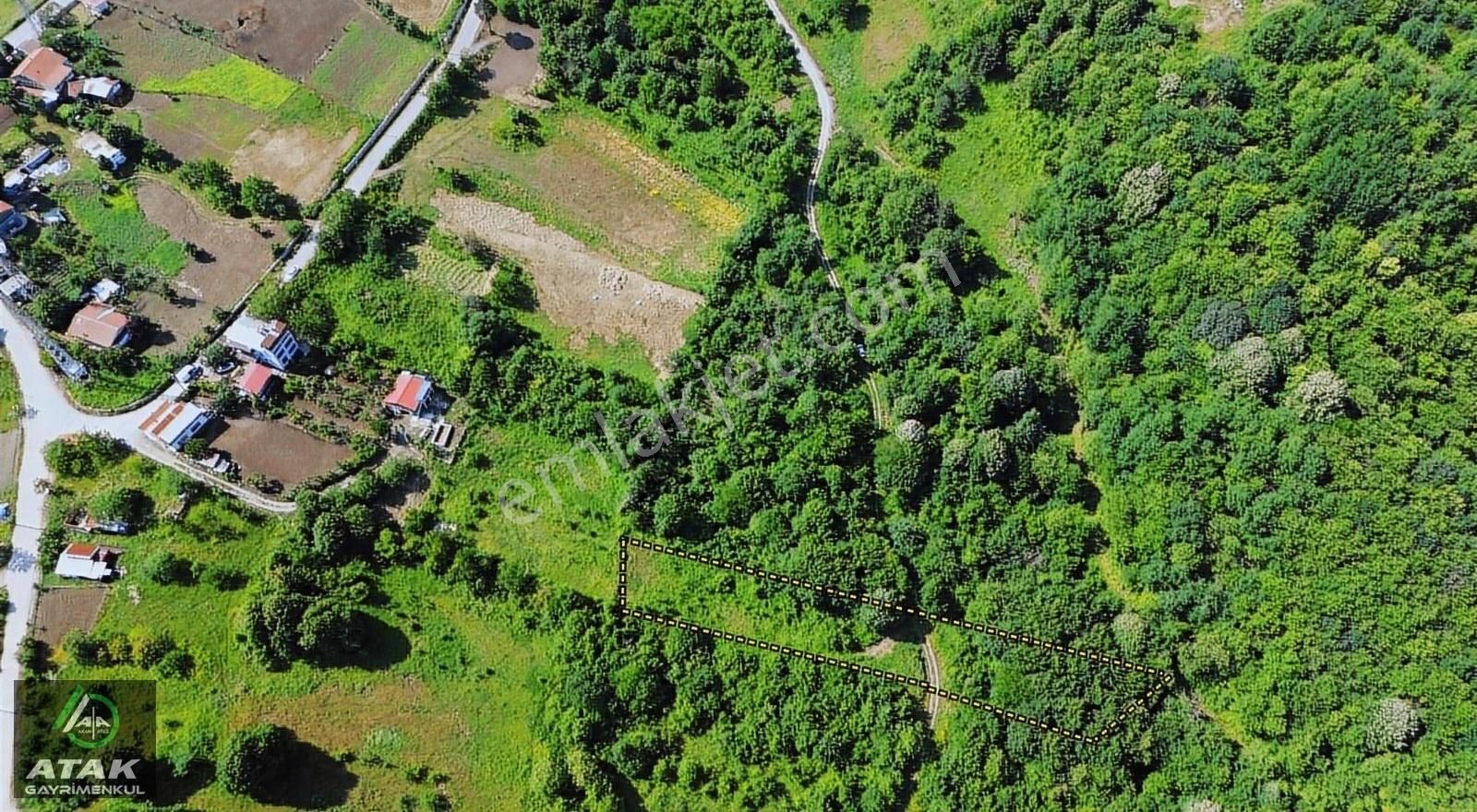 Kartepe İfraziyede Satılık Doğayla İç İçe Satılık Tek Tapu Arazi - Görsel 3