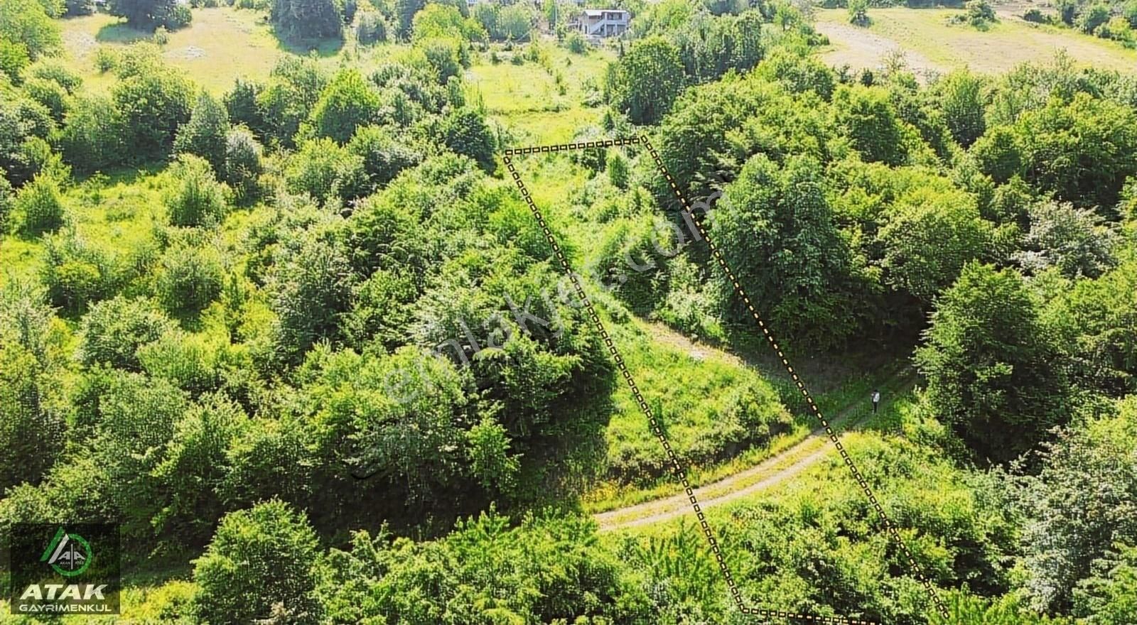 Kartepe İfraziyede Satılık Doğayla İç İçe Satılık Tek Tapu Arazi - Görsel 4
