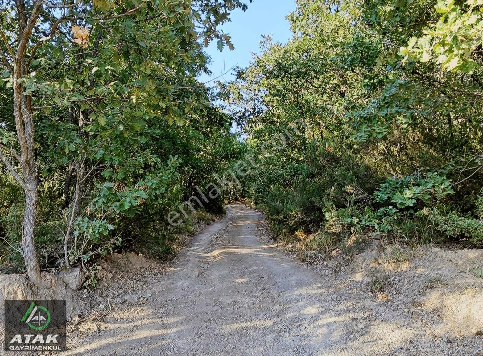 Gebze Denizli Köyünde Gölete Yakin Satılık Arazı - Görsel 2