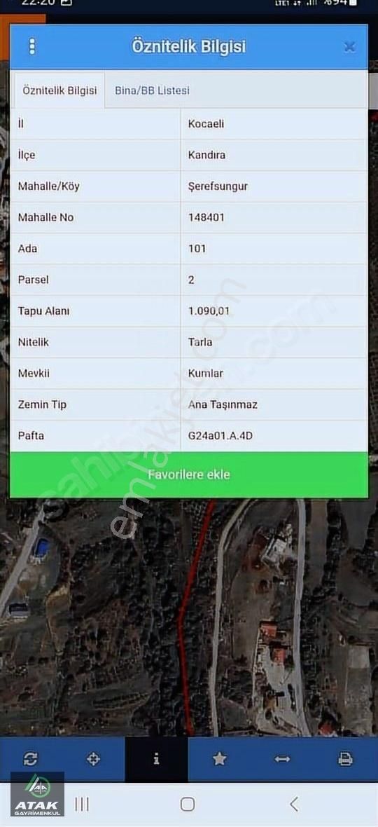 Kandıra Şerefsungursa Satılık Fındık Bahcesi