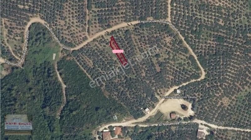Gemlik Yeniköy De Manzaralı Satılık Zeytinlik - Görsel 9