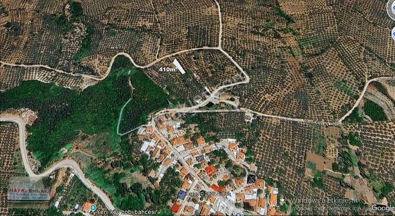 Gemlik Yeniköy De Manzaralı Satılık Zeytinlik - Görsel 6