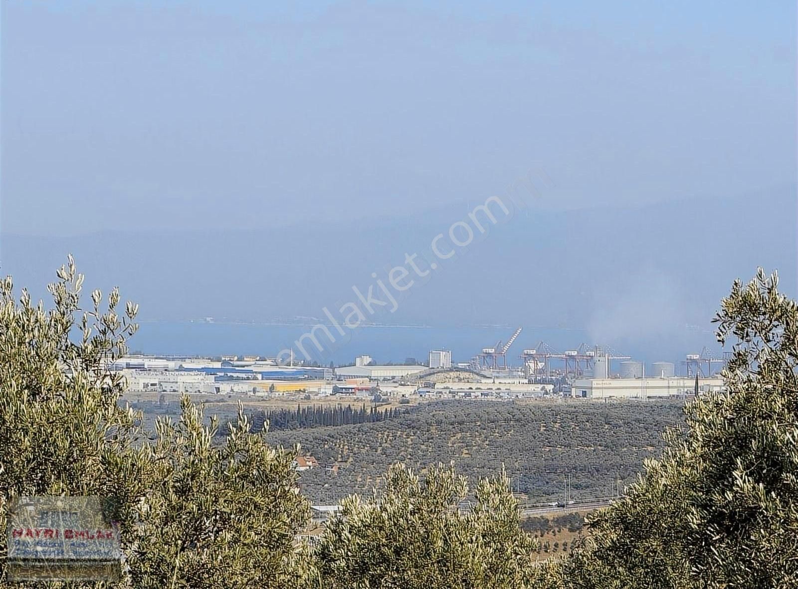 Gemlik Yeniköy De Manzaralı Satılık Zeytinlik - Görsel 10