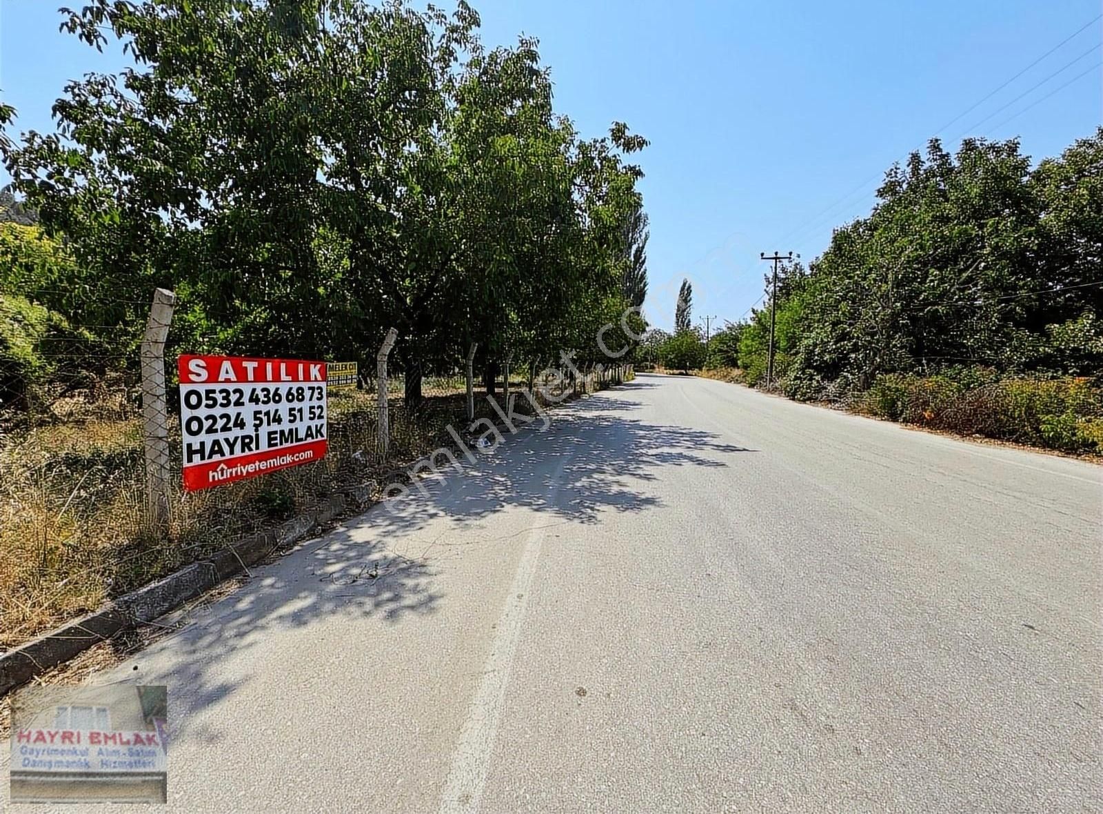 Gemlik Küçük Kumla Asfalt Cepheli Satılık Bahçe - Görsel 8