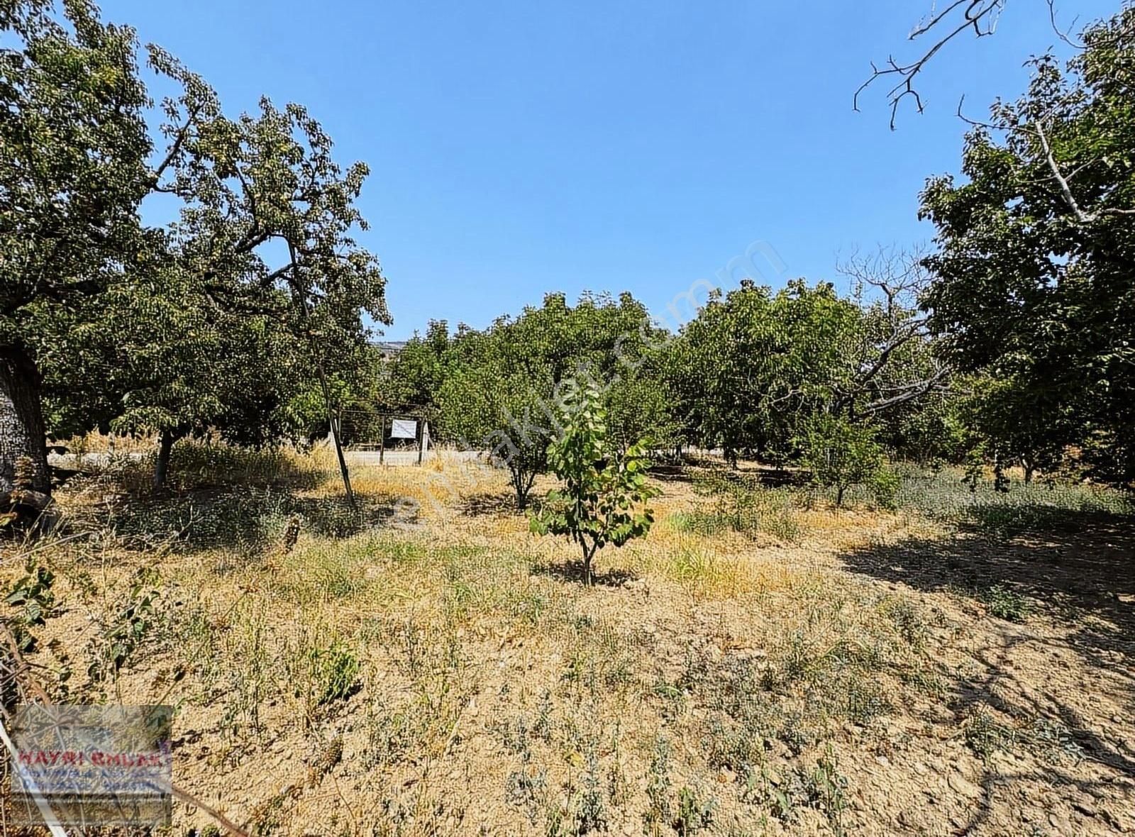 Gemlik Küçük Kumla Asfalt Cepheli Satılık Bahçe - Görsel 3