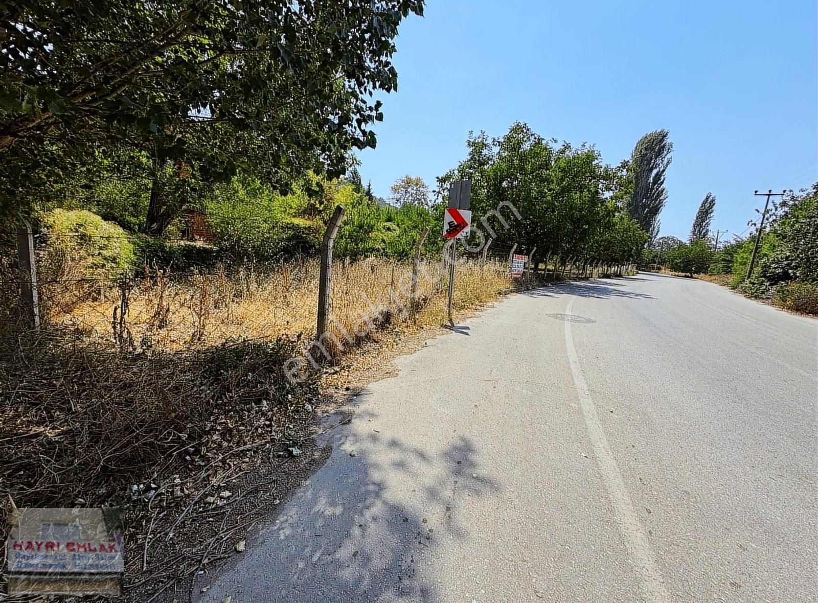 Gemlik Küçük Kumla Asfalt Cepheli Satılık Bahçe - Görsel 7
