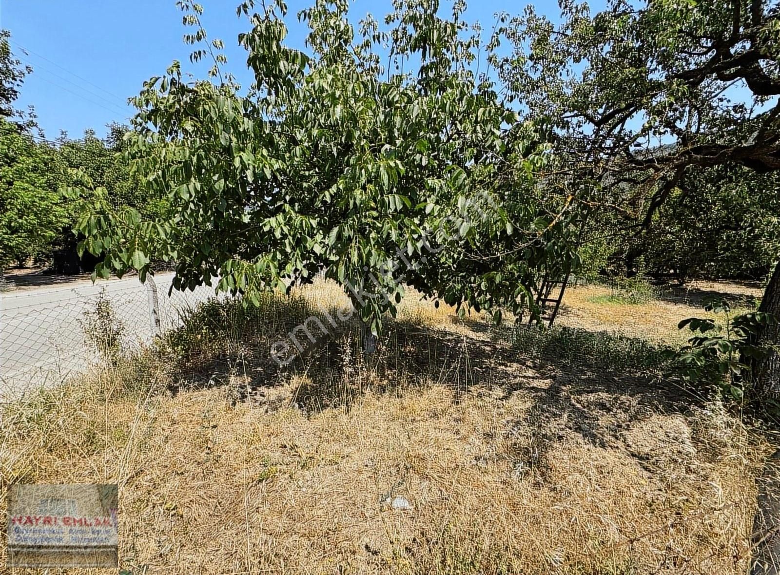 Gemlik Küçük Kumla Asfalt Cepheli Satılık Bahçe - Görsel 9
