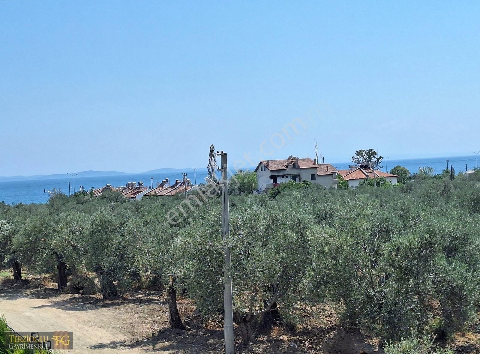 Terzioğlu'ndan Küçukkuyu Da 300 M2 Arsa İçinde Deluxe Villa - Görsel 10