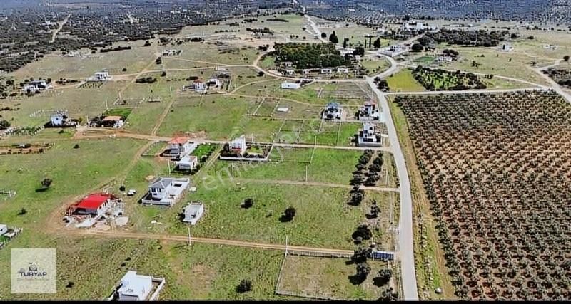 Didim Akyeniköy 1 Balova 306 M2 Tam Mustakil Villa Arsası