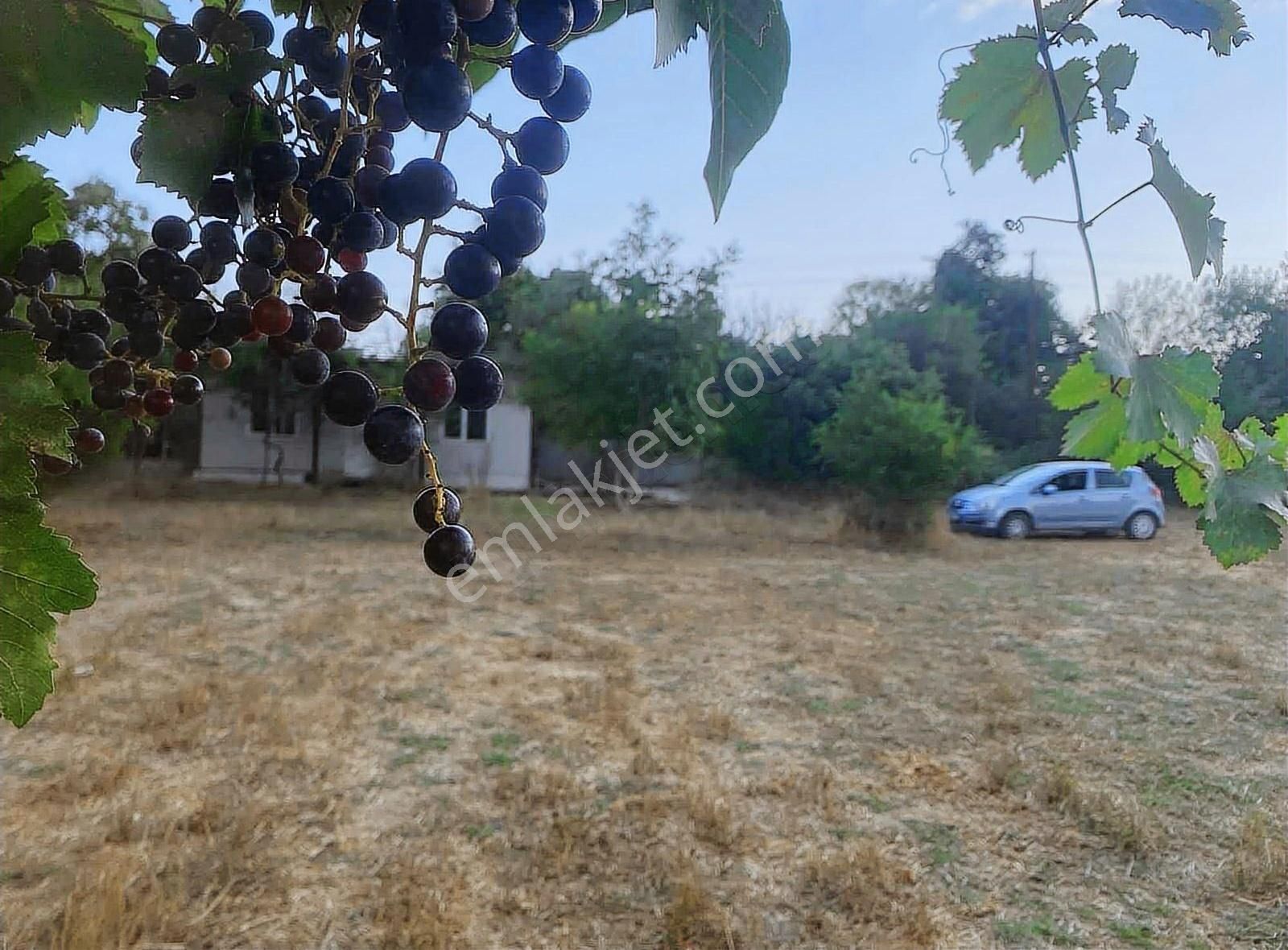 Muğla Düğerek Karabağlar Yayla Sınırında İmarlı Parsel - Görsel 18