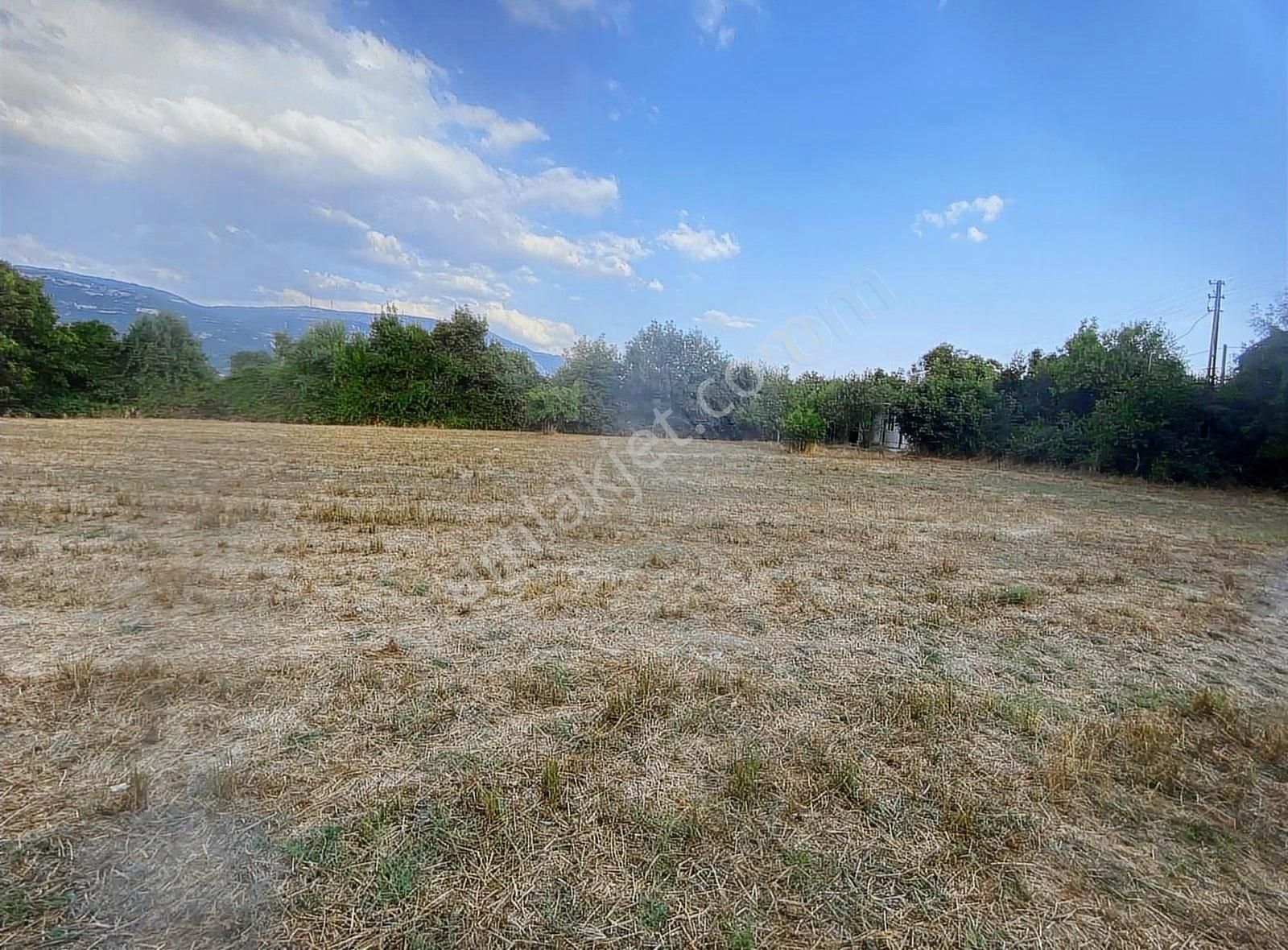 Muğla Düğerek Karabağlar Yayla Sınırında İmarlı Parsel - Görsel 3