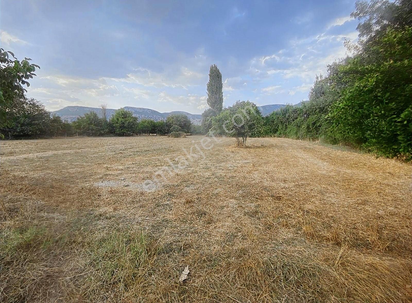 Muğla Düğerek Karabağlar Yayla Sınırında İmarlı Parsel - Görsel 13