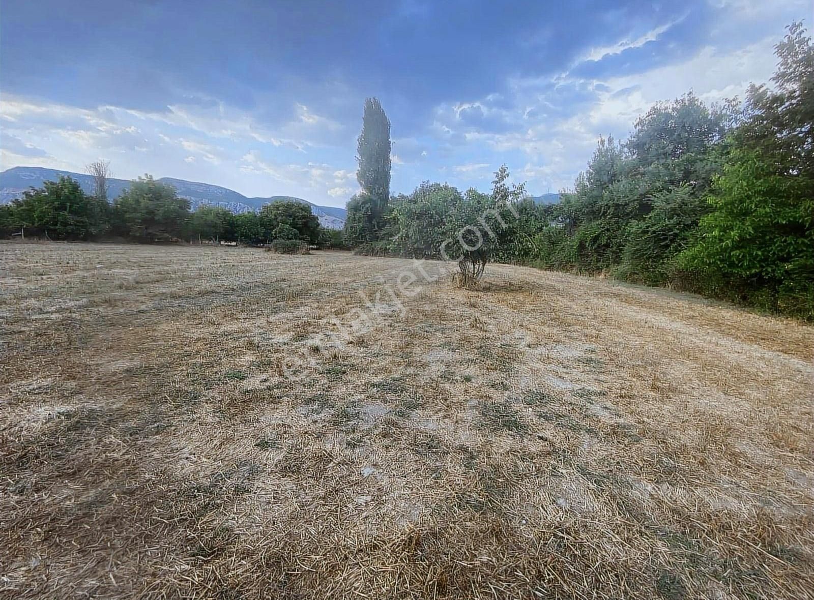 Muğla Düğerek Karabağlar Yayla Sınırında İmarlı Parsel - Görsel 5