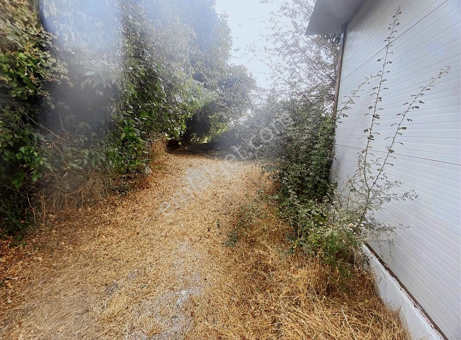 Muğla Düğerek Karabağlar Yayla Sınırında İmarlı Parsel - Görsel 17