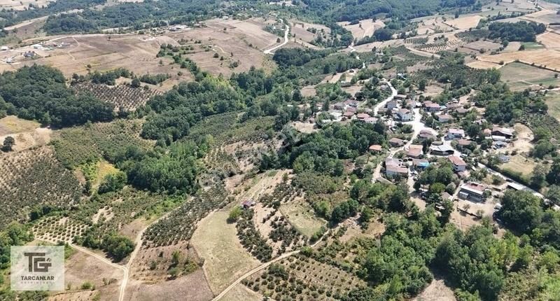 Tarcanlar'dan Kandıra Terzilerde Yatırıma Uygun 6726m2 Fındıklık