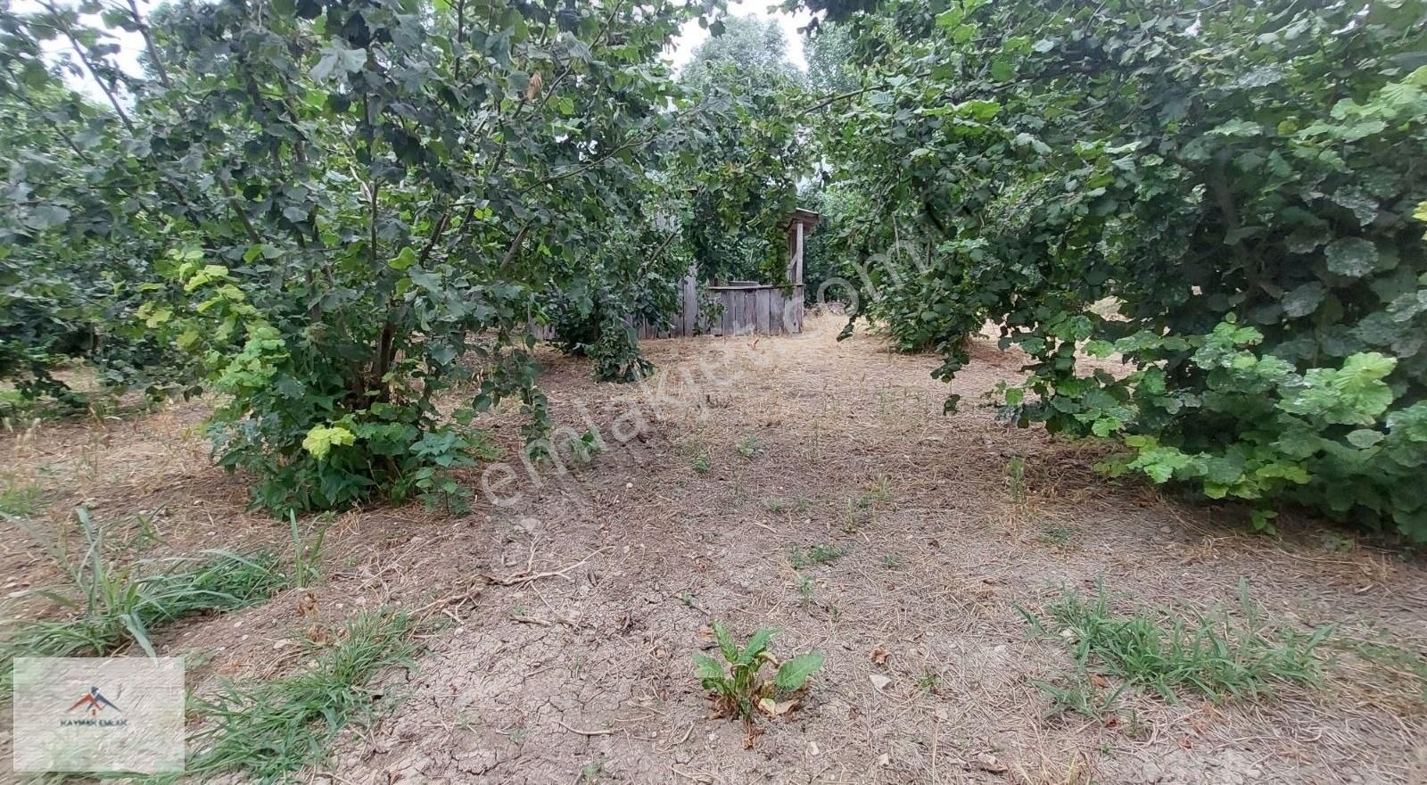 Hobi Bahcesi Yapmaya Uygun Resmi Yolu Olan Satılık Fındık Bahces - Görsel 20