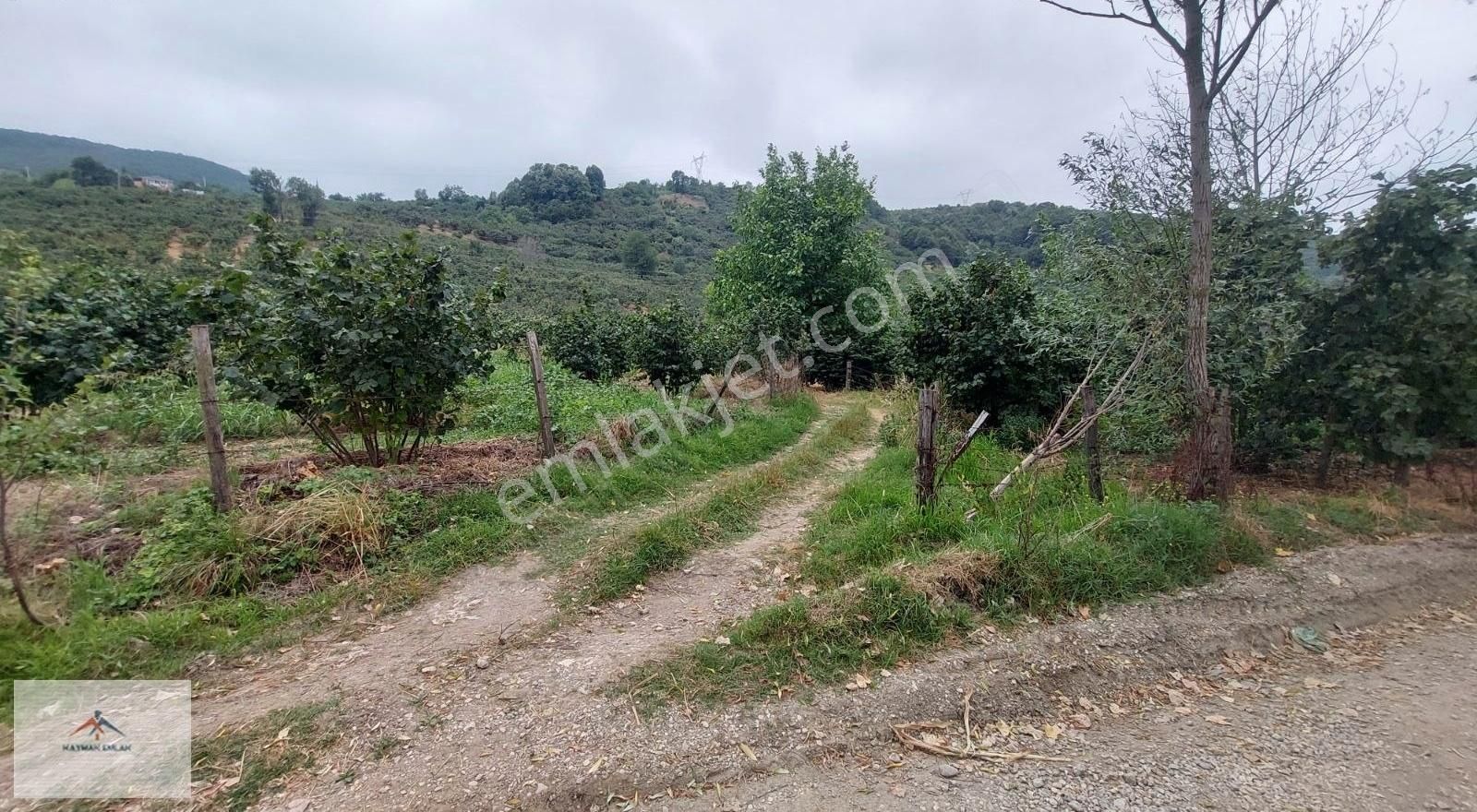 Hobi Bahcesi Yapmaya Uygun Resmi Yolu Olan Satılık Fındık Bahces - Görsel 13