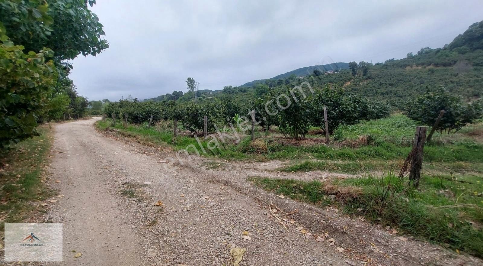 Hobi Bahcesi Yapmaya Uygun Resmi Yolu Olan Satılık Fındık Bahces - Görsel 24
